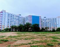 NIT Warangal Playground(1)