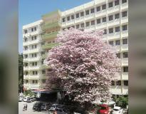 JNU Campus Building(3)