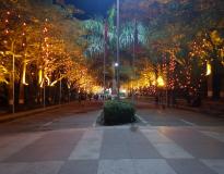 BVCOE Navi Mumbai Night View
