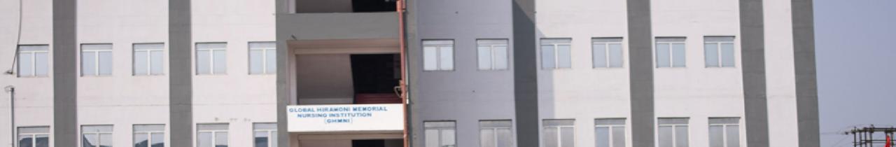 Global Hiramoni Memorial Nursing Institution