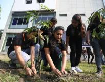 IMAS Business School Others(14)