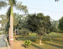 Saroj Institute of Technology and Management Others(3)