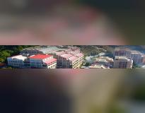 Jaypee University of Information Technology Others(1)