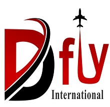 Dfly International Aviation Institute Logo