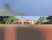Bareilly College Others