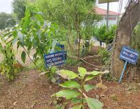 Nirmala College of Pharmacy, Mangalagiri Others(4)