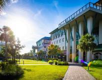 FGCU Others(4)