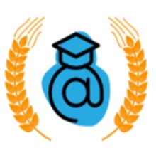 DGmark Institute Logo