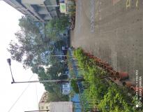 Jadavpur University Campus View(2)