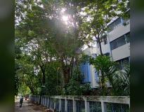 Jadavpur University Campus View(3)