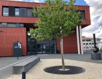 Landshut University of Applied Sciences Others(5)