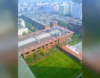 Jaypee Institute of Information Technology Panoramic View