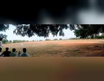 MVSR Playground(1)