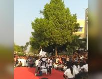 MVSR Fest(2)