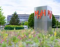 Hannover Medical School Others(1)
