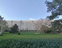 Hannover Medical School Others(3)