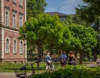 Karlsruhe University of Education Campus View