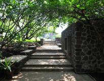 Nayanta University Campus View(7)