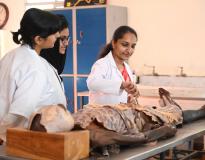 Sree Ramakrishna Medical College of Naturopathy and Yogic Sciences Others(2)