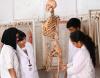 Sree Ramakrishna Medical College of Naturopathy and Yogic Sciences Others(3)