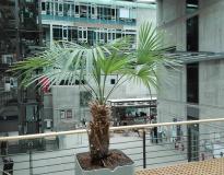 Film University Babelsberg Konrad Wolf Others(2)