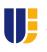 Institute Logo