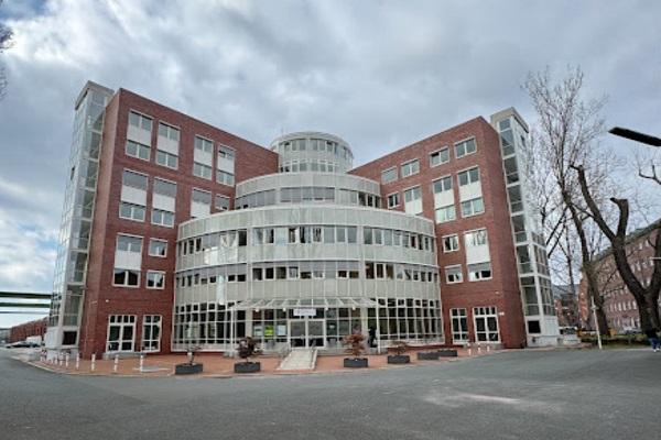 German International University