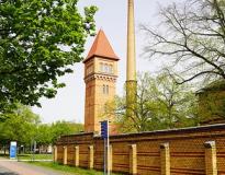 IB School of Health and Social Affairs Others(1) IB School of Health and Social Affairs Others(1)