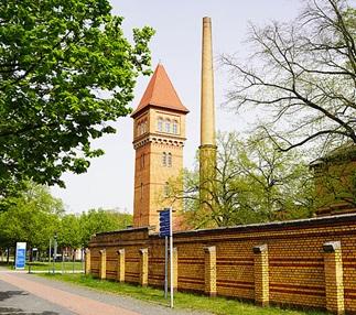 IB School of Health and Social Affairs