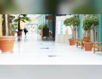 IB School of Health and Social Affairs Others(2) IB School of Health and Social Affairs Others(2)