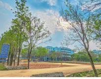 Sreenivasa Institute of Technology and Management Studies Campus View