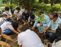 Acharya Narendra Dev College Students Work(1)