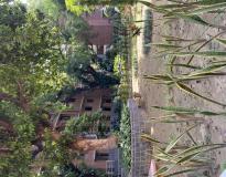Hindu College Campus View(2)