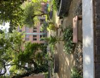 Hindu College Campus View(3)