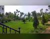 Camellia Institute of Technology and Management Campus View(2)