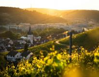 Stuttgart Free University Others(2) Stuttgart Free University Others(2)