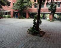Institute of Home Economics Campus View(1)
