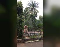 SP College Campus View