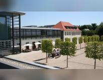 DHGE Others(1)