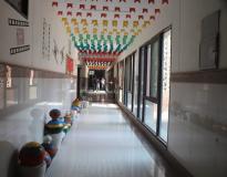 Central University of Haryana Campus View(3)
