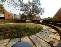 IPS Academy Campus View(2)