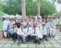 IPS Academy Others