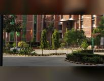 MAIMS Campus View(3)