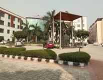 BPIT Delhi Campus View(2)