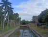 Dr SS Bhatnagar University Chandigarh Campus View(5)