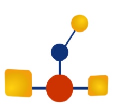 National Institute of Photography Logo