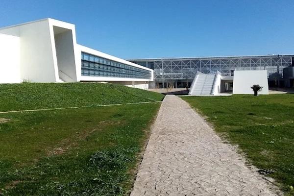 Nova School of Business and Economics