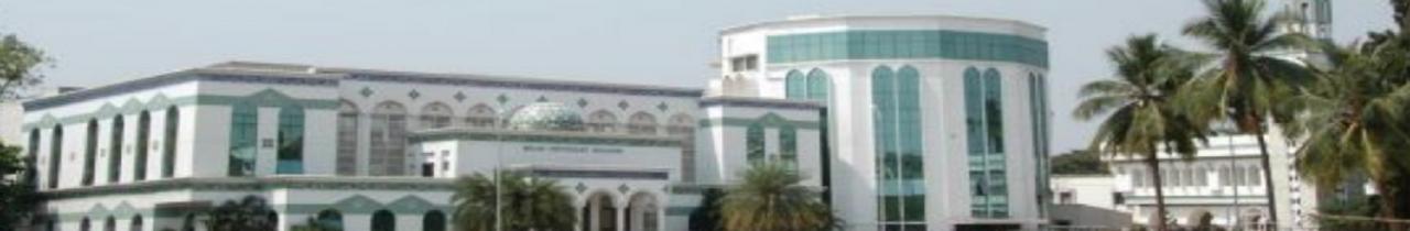 The New College
