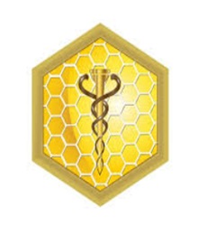 Dubai Medical University Logo