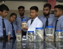 Techno India University Tripura Labs(5)